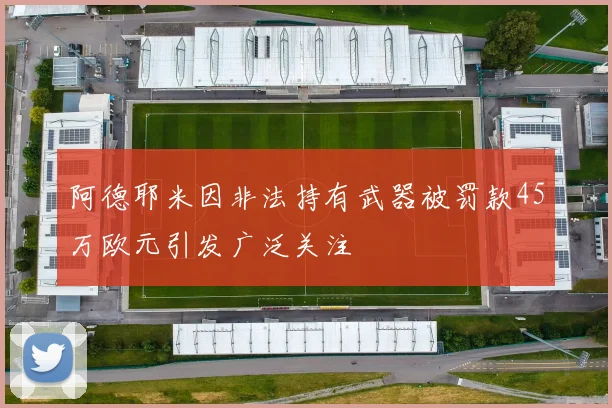 阿德耶米因非法持有武器被罚款45万欧元引发广泛关注
