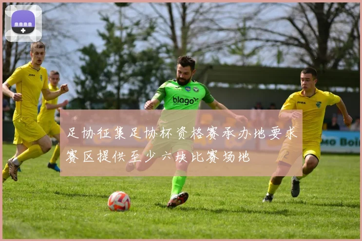足协征集足协杯资格赛承办地要求赛区提供至少六块比赛场地