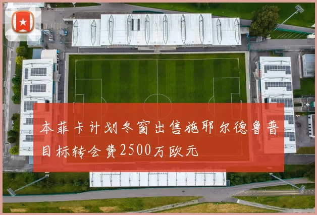 本菲卡计划冬窗出售施耶尔德鲁普目标转会费2500万欧元