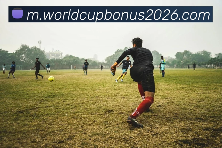 世界杯投注发展历程